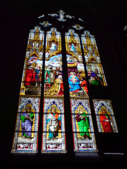 jpsg2012's profile picture. シンガポールのブキティマ山の近くに、十五年余り住んでいる自然愛好家。