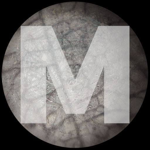 mentealt's profile picture. Geoestrategia. Criptopolítica. Revisionismo.