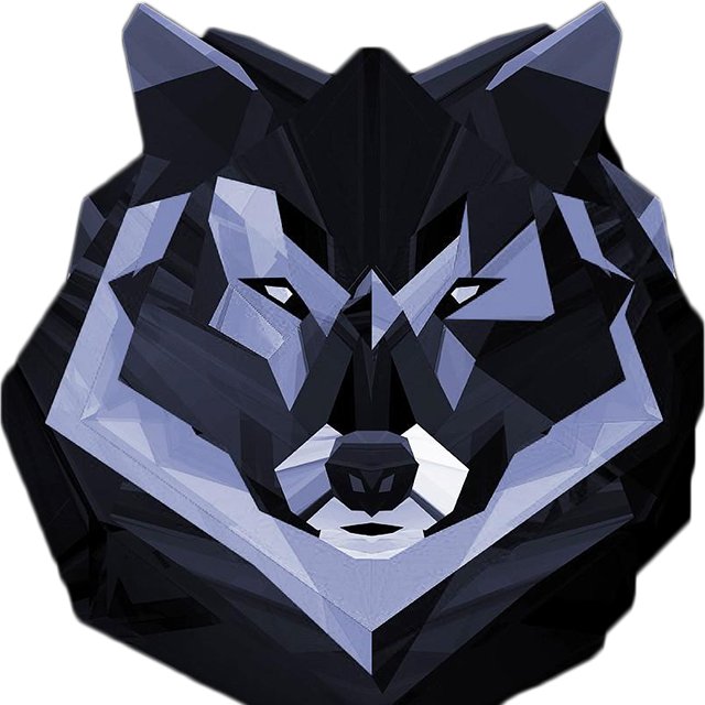 HostWolfLLC's profile picture. Custom Hosting Solutions and physical net solutions in Tulsa, OK. Specializing in Aviation websites and service.