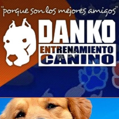 Somos ENTRENAMIENTO CANINO DANKO, dedicados a la educación de sus mascotas en la comodidad de su hogar.
Utilizamos las técnicas más novedosas de entrenamiento.