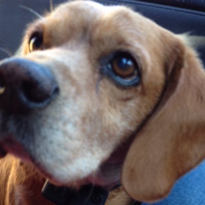 airwest007's profile picture. TAFKAP