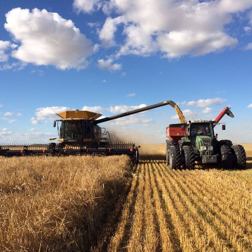 vanburckseeds's profile picture. Pedigreed seed farm since 1978. Contact 3068634377 to talk #peas #bly #wht #soybeans #flax #oats