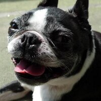 モリトモ  ナチ (@nati_moritomo) 's Twitter Profile Photo