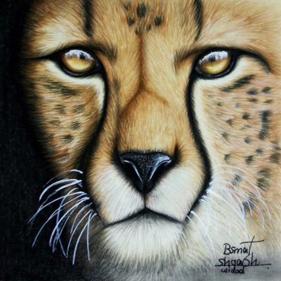 theebuehheueu's profile picture. عليك بالصبر