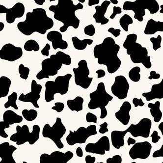 meguchop's profile picture. 