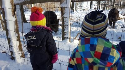 Schwakat's profile picture. 