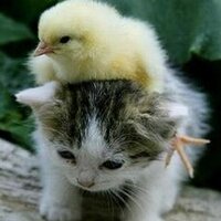 ゆせくん (@yusekun) 's Twitter Profile Photo ゆせくん (@yusekun) 's Twitter Profile Photo