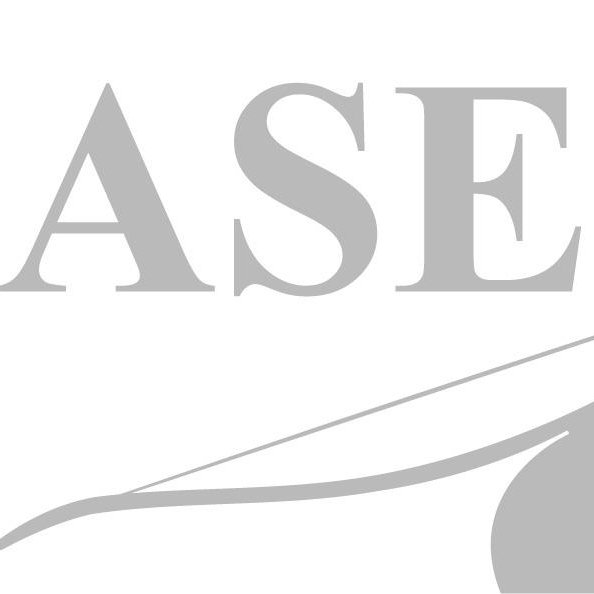 ASE_GmbH's profile picture. Kamerabasierte OCR-Gates und Videoüberwachungssysteme für Logistik, Kombinierten Verkehr und Industrie