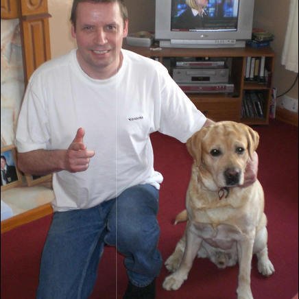 Hi, my name is Ian. I am a motivational speaker and a ambassador for guide dog awareness. If you need a speaker... get in touch! #guidedogs 🐶