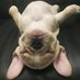 BeautyLounge (@beautylounge_uk) Twitter profile photo BeautyLounge (@beautylounge_uk) Twitter profile photo