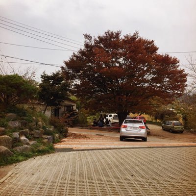 roootrooot's profile picture. 