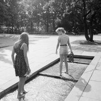 Terneras de reposición (@ezequielgrimald) 's Twitter Profile Photo