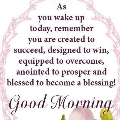 StaceyJ8691's profile picture. 