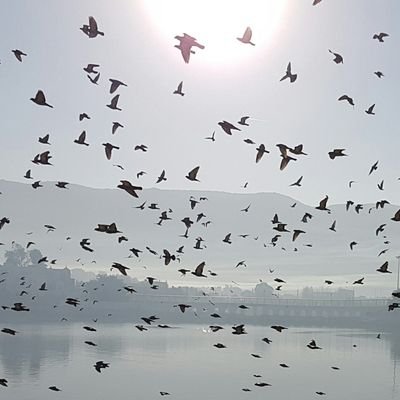 CuriousShekhar's profile picture. meet me to know me.....