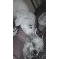 نورا. (@iilox91) 's Twitter Profile Photo