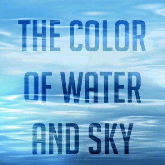 The official twitter handle for the Color of Water and Sky Series.

To read for free, click here:
https://t.co/DKP8YIyMmw