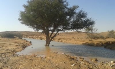 سبحان الله والحمد لله ولااله إلا الله والله اكبر ولاحول ولا قوة الا بالله»»»القوة والوضوح والثقة والحكمة والتعاطف والكاريزما » المهارات الاساسية}