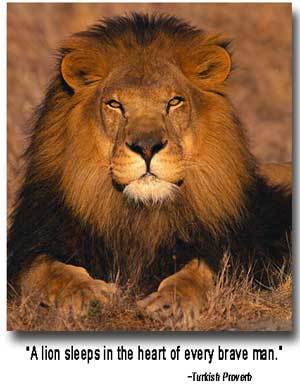 WorldGlobalUS's profile picture. I'm An Insurance Agent http://t.co/a9hrRrop9Z working on a GREAT! Business Opportunity (MLM). Profit From Wearable Computer, Space Wireless and More.