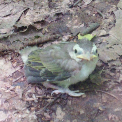 DailyGloryBlog's profile picture. Lifestyle blog @ https://t.co/G7rsMxCJ4T