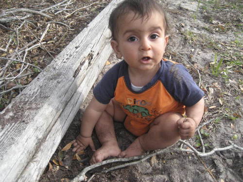 arabianprinces's profile picture. 