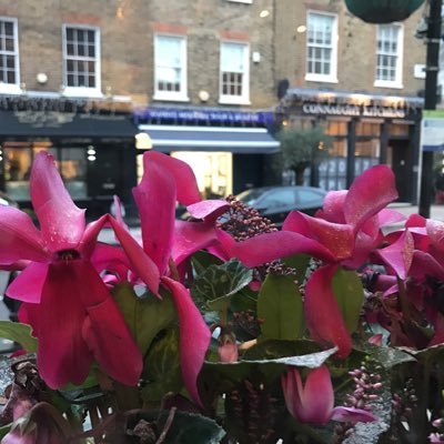 aminalisoho's profile picture. Thinking fast and slow