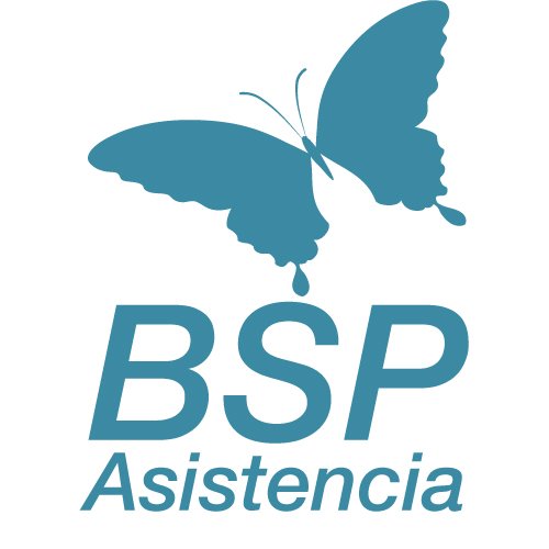 En BSP Asistencia somos una empresa que presta servicios de Equipos Profesionales al sector Geriátrico, Salud y Hogar.