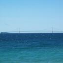 Jay Briggs - @michvines - Twitter