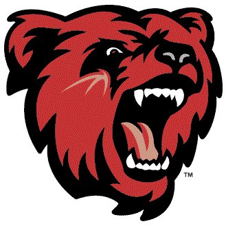 BSU Men's Soccer Profile