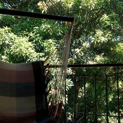 apcarlucho's profile picture. llanero de pura sepa