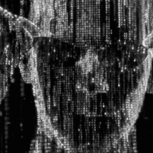 mohamed0178's profile picture. مواطن مصري