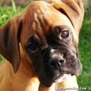 John Vong - @vong_fc - Twitter