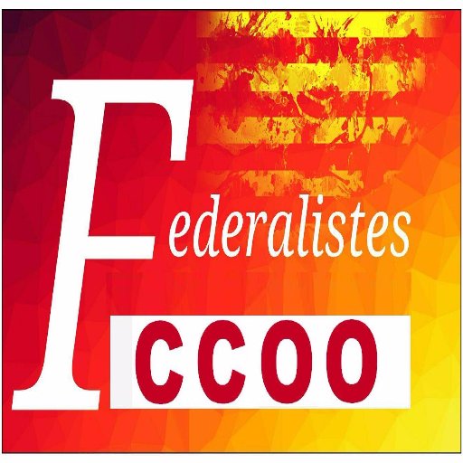 Federalistes CCOO Profile