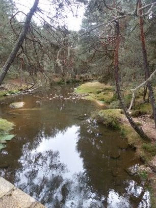 UtrillaYague's profile picture. 