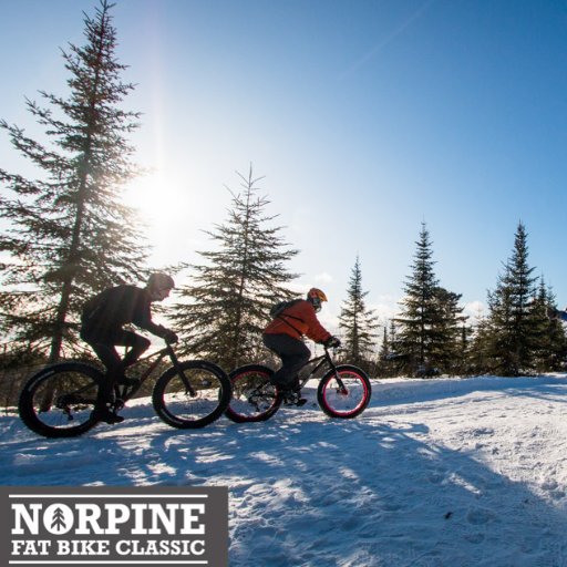 NorpineClassic's profile picture. Norpine Fat Bike Classic course will highlight some of the truly unique and unmatched beautiful wilderness landscape of Minnesota’s Nrth Coast of Lake Superior.