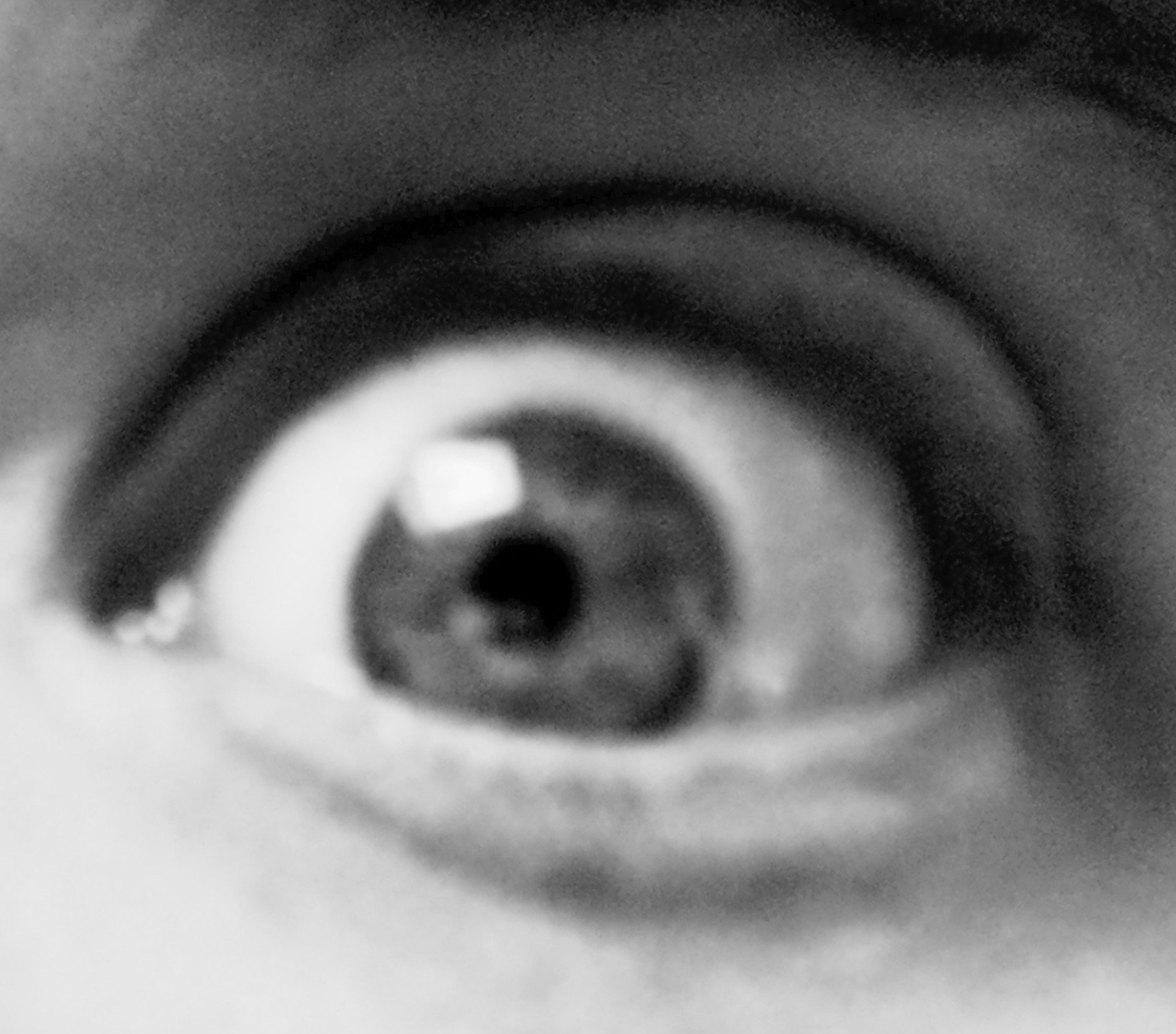 I make music, noise, black and white photos, and poetry.
I run @SiccumRecords
RT = Endorsement