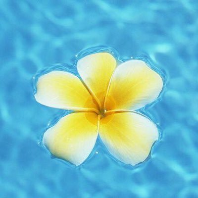 Keiko Tsutsumi Venuskei223 Twitter