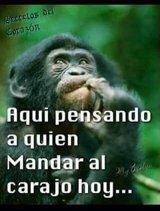 Soy quien soy , CALIENTE COMO EL SOL , SI NO ME TRAGAS , JODETE NO SOY COMIDA DE PERRO. PRUEBAME Y VERAS QUE SOY COME LA MIEL DE DULCE, Y QUERAS MAS Y MAS.