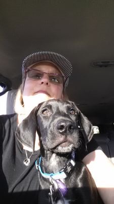Labradors, Lefse, LCMS, Pickled Herring, Phil. 4:13, Camaro ZL1