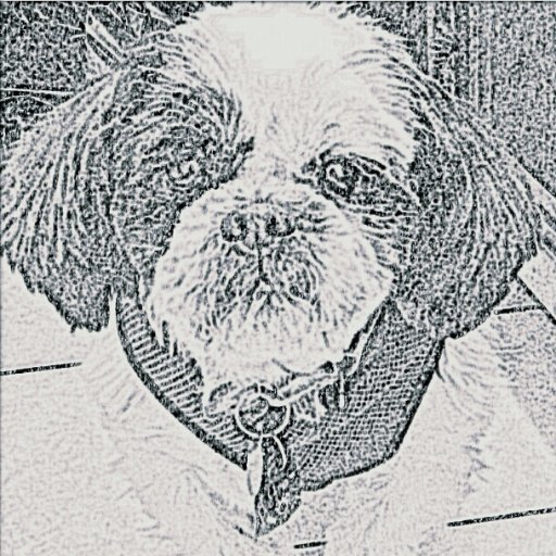 Promoting pet adoption locally in New York and digitally around the world. #AdoptDontShop Proud mom of adopted senior dog who makes my heart sing every day.