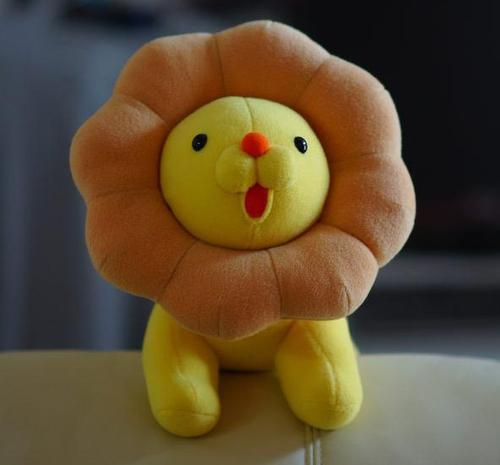 하고 싶은 대로 하고 살아요.
