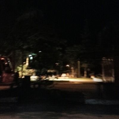 brauliogomez7's profile picture. comerciante