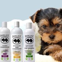 BarkLogic (@barklogic) 's Twitter Profile