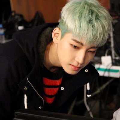 jeon wonwoo seventeen member hiphop unit.