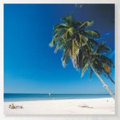 Info to help you plan your next vacation to beautiful Fort Myers Beach, Florida.