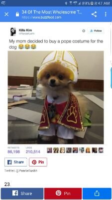 AlmanzoAlfredo's profile picture. My milkshake brings all the boys to the yard.