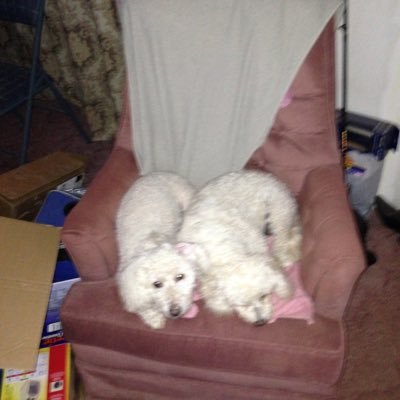 burt90801's profile picture. 