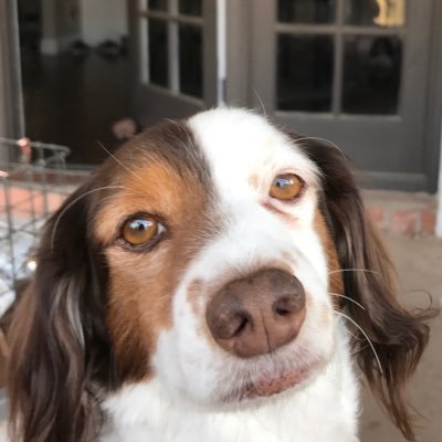 Vaughtster's profile picture. Enjoy each day + take time to recognize your blessings + be a moment maker for people. Opinions are my own......