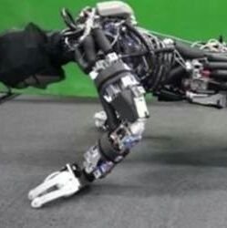 SaadAlpha's profile picture. فيزيائي، مهتم بالذكاء الصناعي.