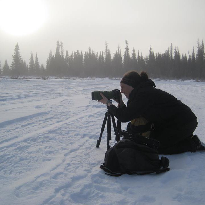 Assistant Professor of behavioural and metabolic ecology. Biologging dreamer. Boreal forest lover. Wrangler of lynx, hares, and squirrels.