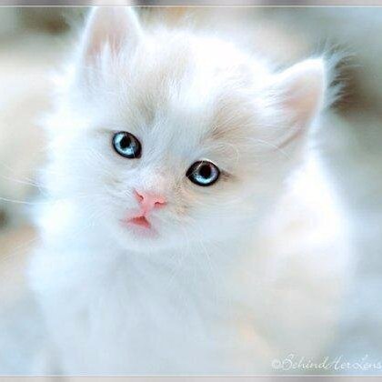 CoolShoutOut's profile picture. #ShoutOut to #Cool People & #Businesses From around the World
Are You Cool #Singer #Author #Youtuber
#Gamer #Writer #Actor #Blogger #localbusiness or #Startup